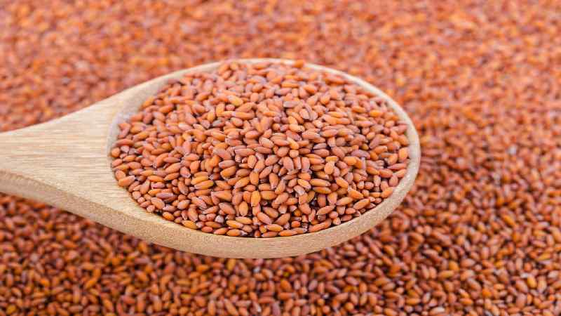 Aliv Seeds Benefits