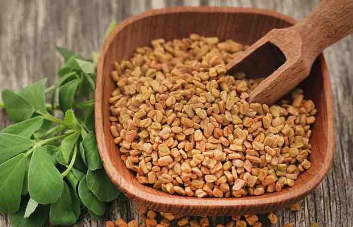 Fenugreek Benefits for Hair