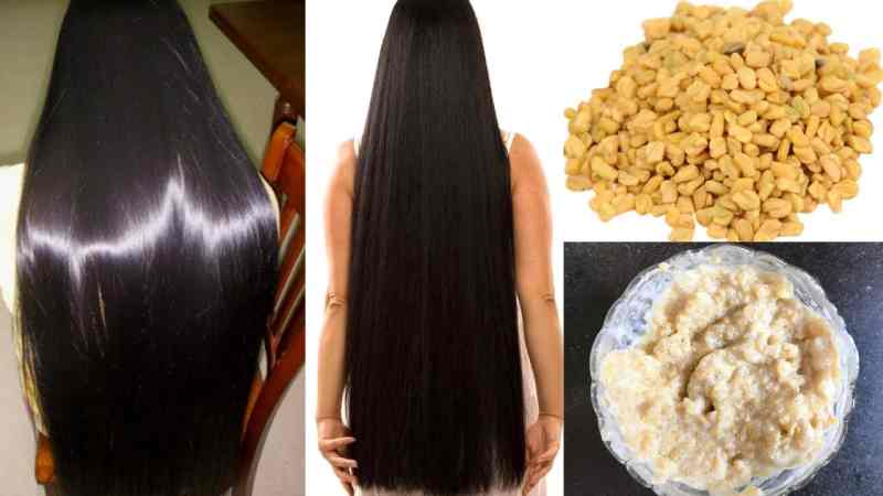 Fenugreek For Hair Fenugreek For Hair