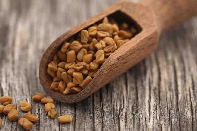 Fenugreek Seeds for Hair: Benefits and Uses
