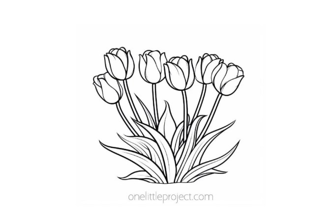 Flower Coloring Pages 