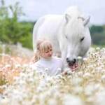 Beautiful:9rmr7xnzchw= Horses